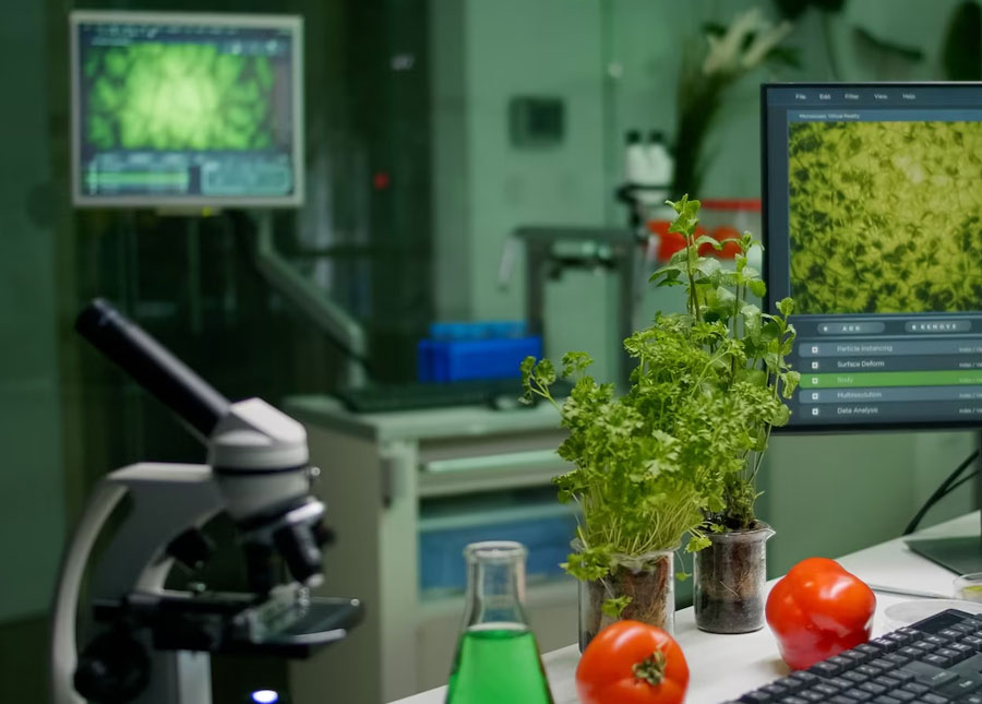 Una visión de la Ingeniería de Alimentos para el 2020