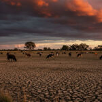 El cambio climático y su impacto en Uruguay